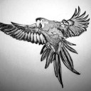 สมาชิกหมายเลข 1005385