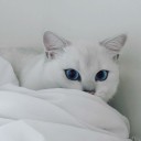 สมาชิกหมายเลข 2556094