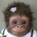 สมาชิกหมายเลข 1005768