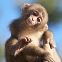 เปลี่ยนนามแฝงได้มั้ย