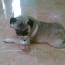 สมาชิกหมายเลข 993451