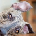 สมาชิกหมายเลข 997871