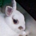 สมาชิกหมายเลข 999006