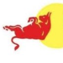 กระทิงระทวย