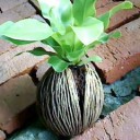 สมาชิกหมายเลข 1174277