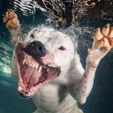 สมาชิกหมายเลข 3047646