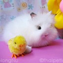 สมาชิกหมายเลข 1006229