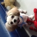 สมาชิกหมายเลข 1006376