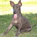 สมาชิกหมายเลข 1305059