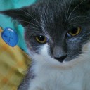 สมาชิกหมายเลข 1007124