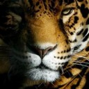 สมาชิกหมายเลข 1007308