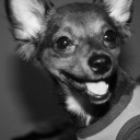 มดน้อยบนทางช้างเผือก