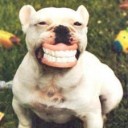 สมาชิกหมายเลข 1802578