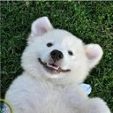 สมาชิกหมายเลข 1837939