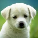 สมาชิกหมายเลข 828516