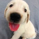 สมาชิกหมายเลข 2638668