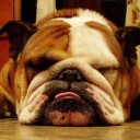 นู๋น้อยจอห์นสัน