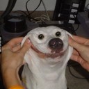 สมาชิกหมายเลข 1414096