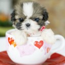 สมาชิกหมายเลข 1441708