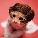 สมาชิกหมายเลข 2639193