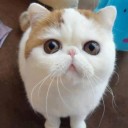 สมาชิกหมายเลข 1008390