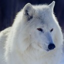 เล็กพัดลม