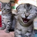 สมาชิกหมายเลข 1839187