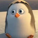 สมาชิกหมายเลข 3050229