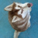 สมาชิกหมายเลข 1008473