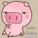 หมูน้อยบนดอย