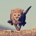 สมาชิกหมายเลข 1839662