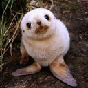 สมาชิกหมายเลข 3050832