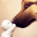 สมาชิกหมายเลข 993115