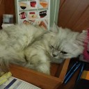 สมาชิกหมายเลข 1415263