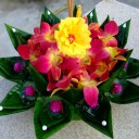 สมาชิกหมายเลข 1837532