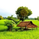 สมาชิกหมายเลข 1839763