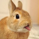 สมาชิกหมายเลข 1779337