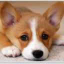 สมาชิกหมายเลข 2640169