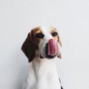 สมาชิกหมายเลข 3051227