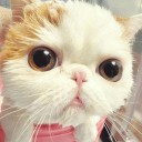 สมาชิกหมายเลข 884067