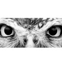 สมาชิกหมายเลข 3036781