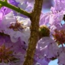 สมาชิกหมายเลข 3047159