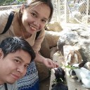 สมาชิกหมายเลข 3051757