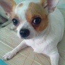 สมาชิกหมายเลข 1009821