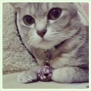 สมาชิกหมายเลข 812495