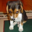 สมาชิกหมายเลข 1416341