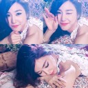 สมาชิกหมายเลข 949843