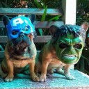 สมาชิกหมายเลข 1598457