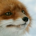 สมาชิกหมายเลข 3078313