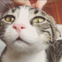 สมาชิกหมายเลข 1380594